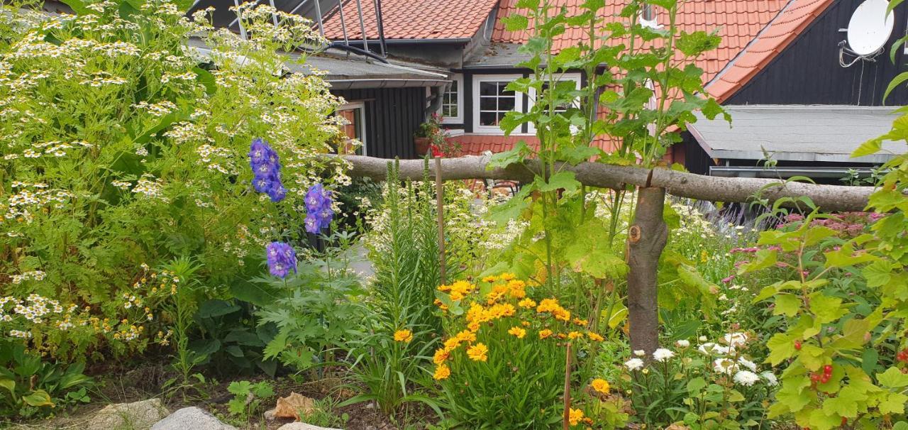 Ferienwohnung Zur Ellernmuehle Bad Suderode Exterior foto